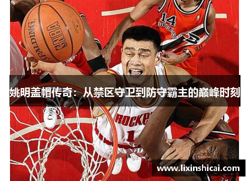 姚明盖帽传奇：从禁区守卫到防守霸主的巅峰时刻