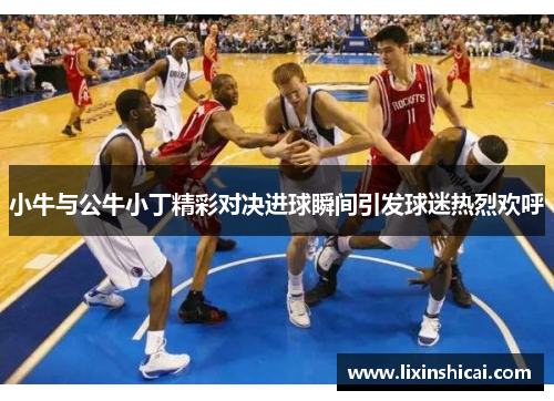 小牛与公牛小丁精彩对决进球瞬间引发球迷热烈欢呼